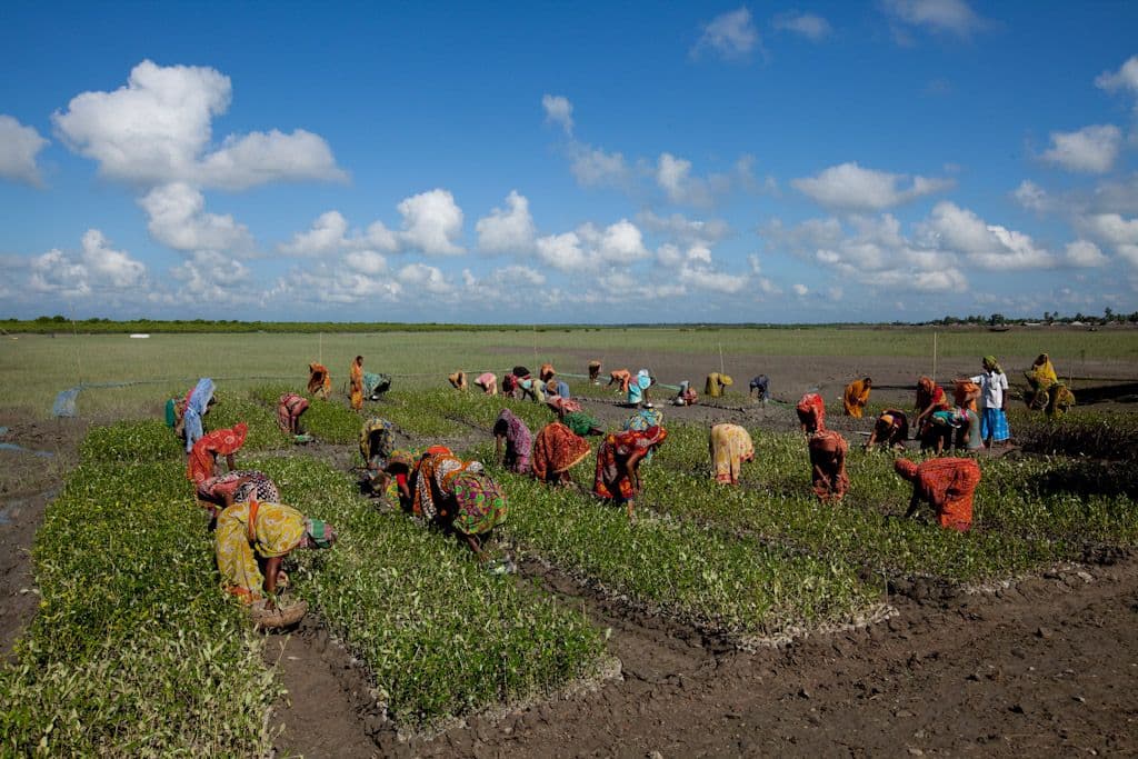 Emergency Medical Supplies Delivered