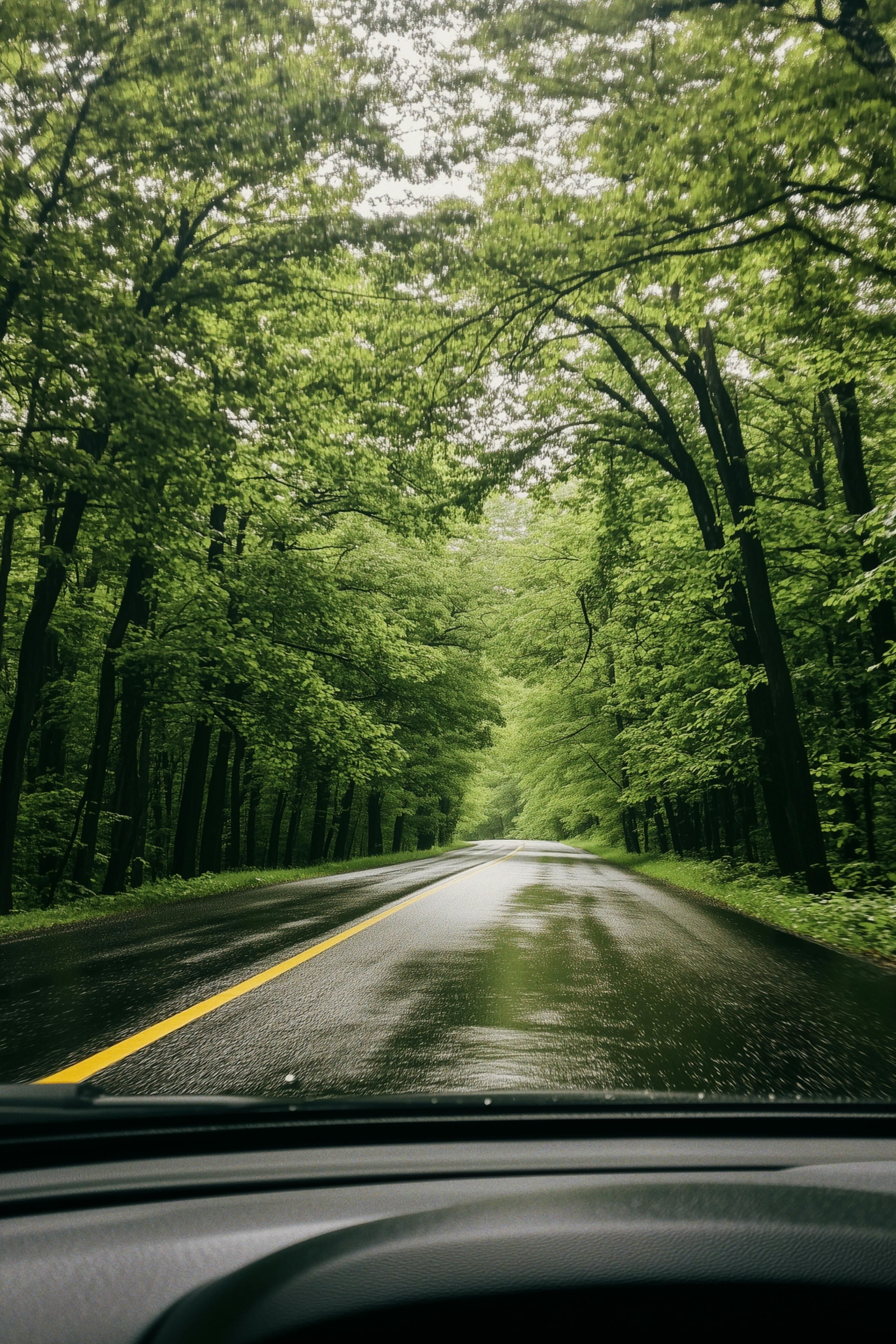 Emergency Response 2